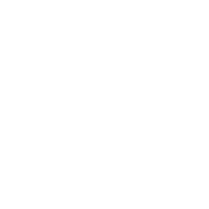 contact us icon