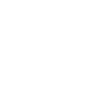 White Gallery Icon